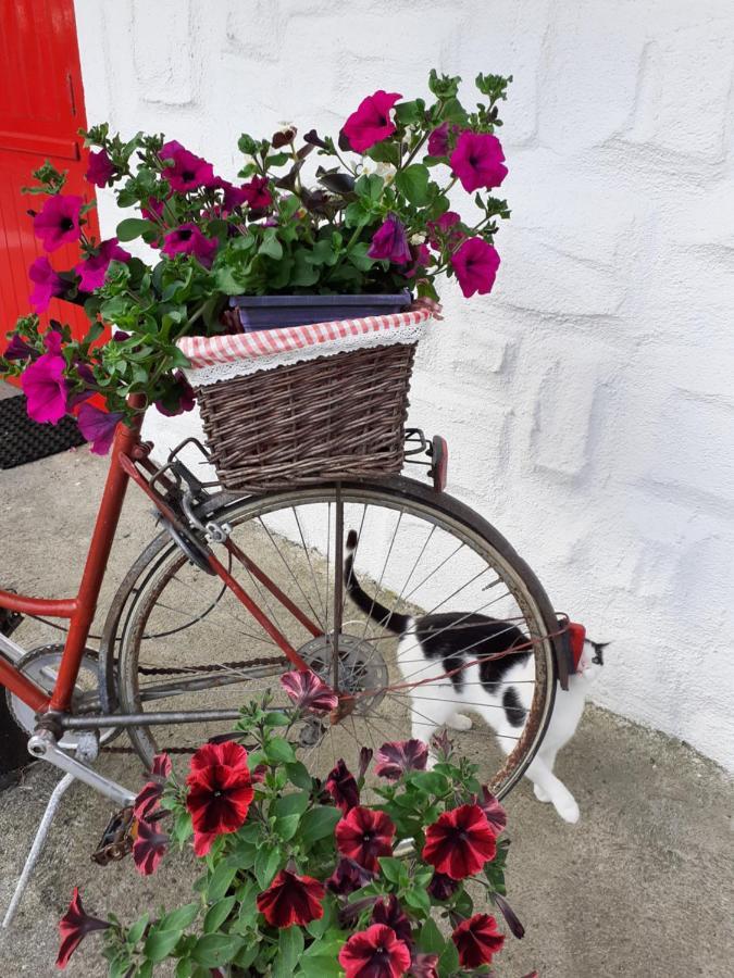 Cummins Cottages Ballycrossaun 外观 照片