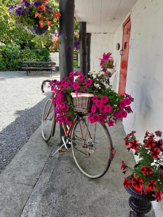 Cummins Cottages Ballycrossaun 外观 照片