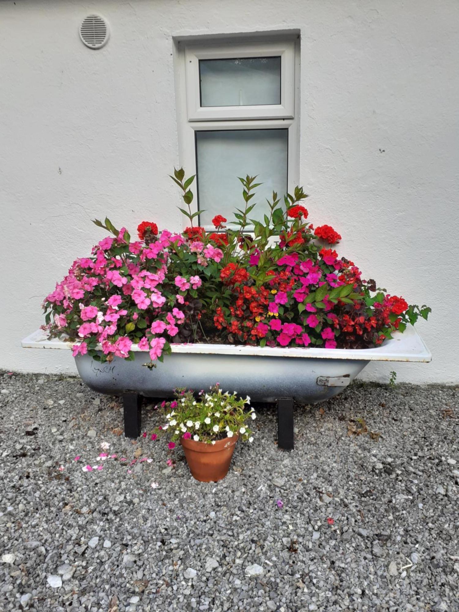Cummins Cottages Ballycrossaun 外观 照片
