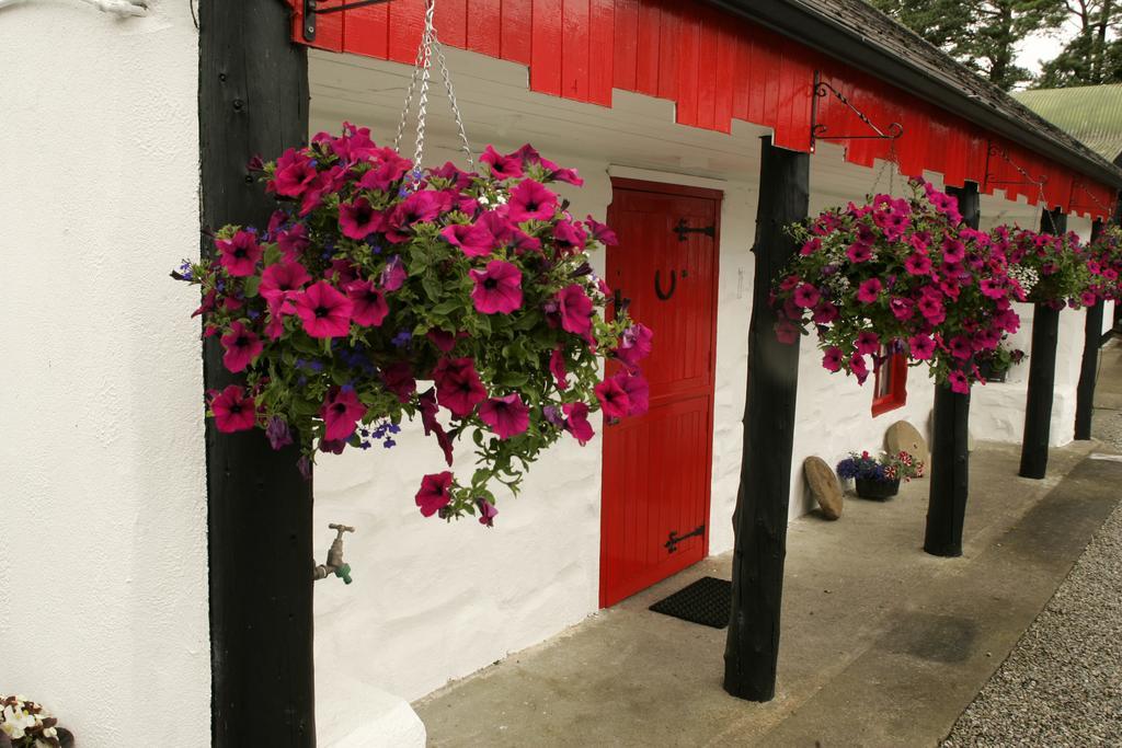Cummins Cottages Ballycrossaun 外观 照片