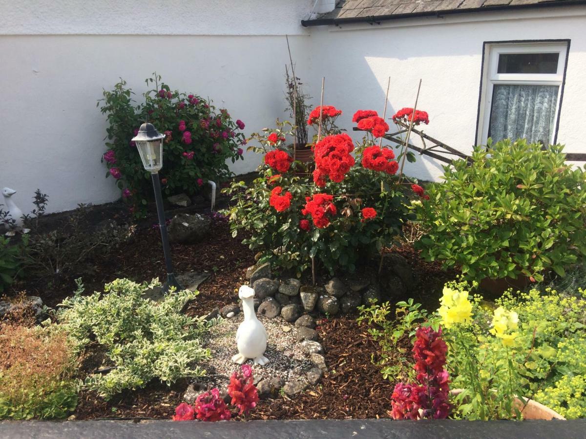 Cummins Cottages Ballycrossaun 外观 照片