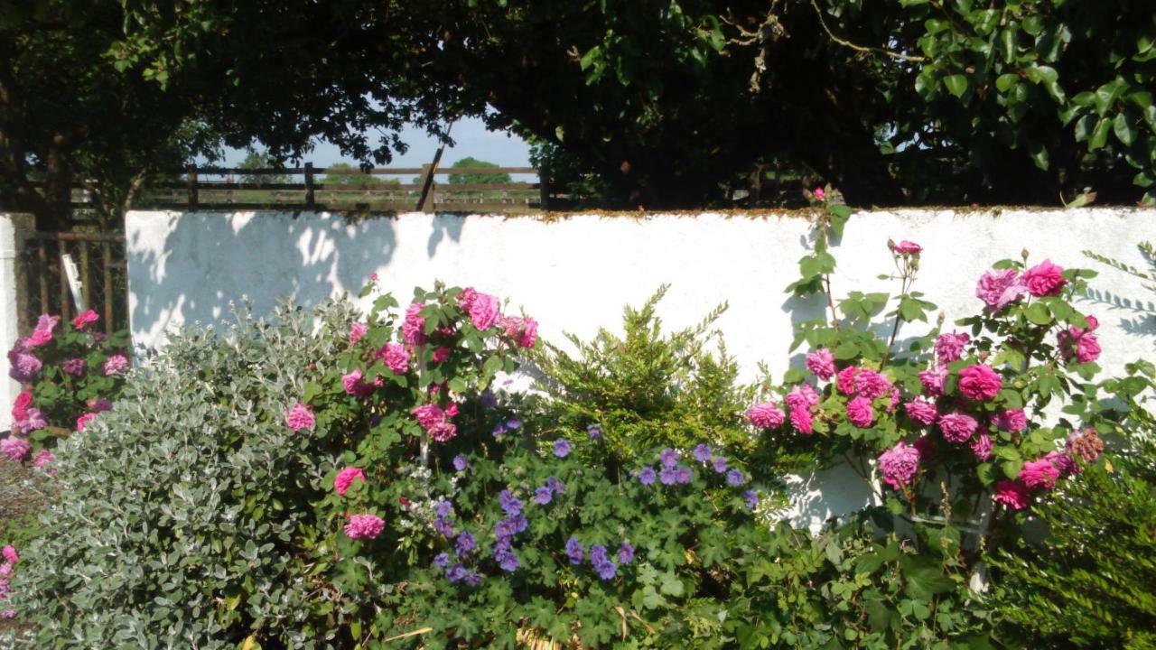 Cummins Cottages Ballycrossaun 外观 照片