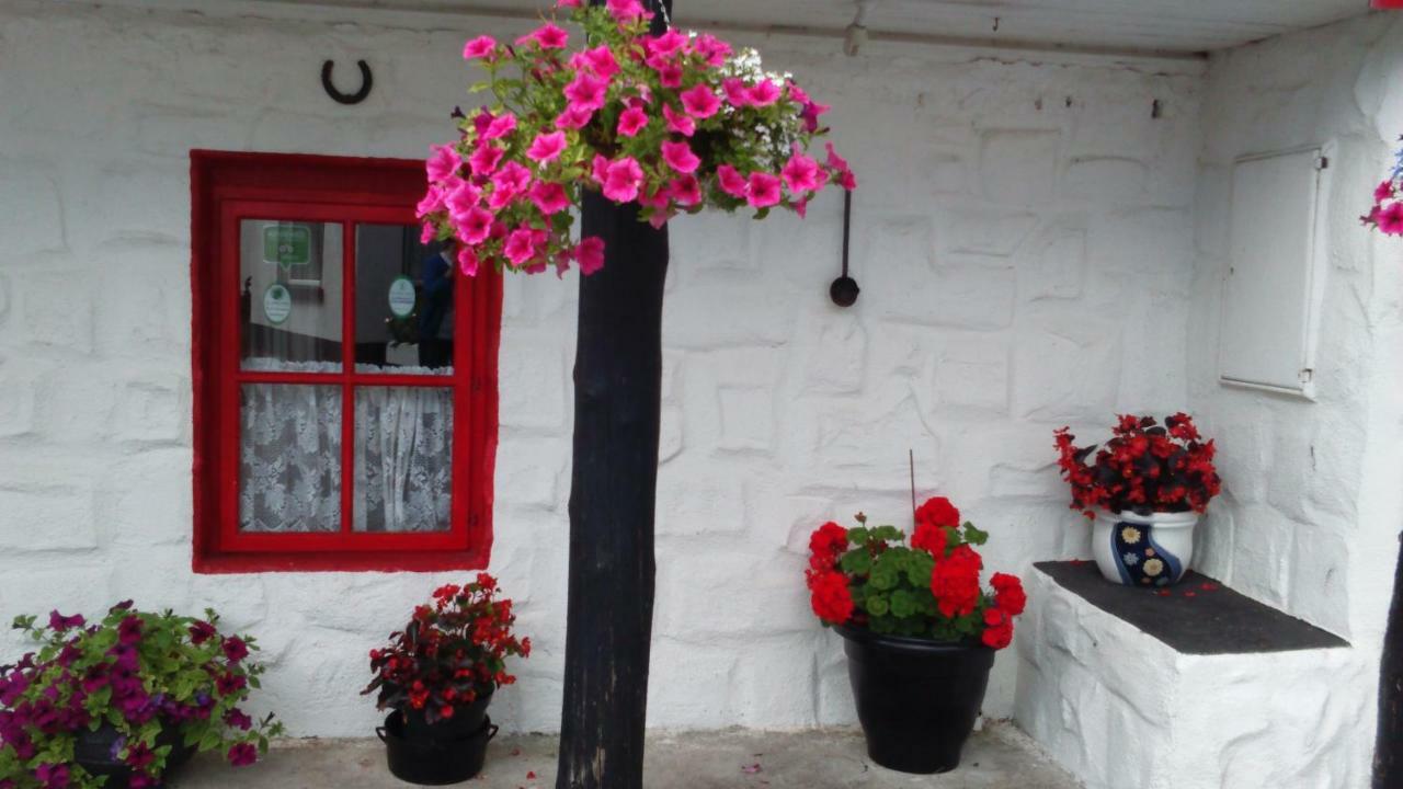 Cummins Cottages Ballycrossaun 外观 照片
